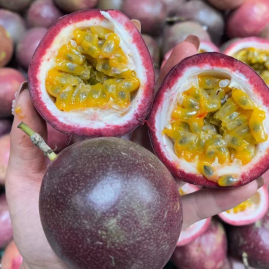 四川眉山仁壽縣柚子批發(fā) 優(yōu)質(zhì)產(chǎn)地貨源與農(nóng)業(yè)基地指南