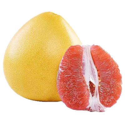 平和管溪蜜柚與紅心柚子的批發(fā)價(jià)格分析